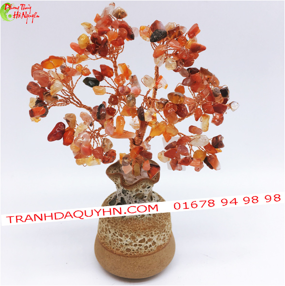 cây tài lộc đá mã não đa sắc